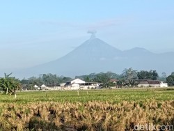Gunung Semeru Erupsi 5 Kali Pagi Ini, Abu Capai 1.200 Meter