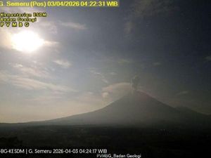 Gunung Semeru Erupsi 4 Kali Pagi Ini, Tinggi Kolom Abu Capai 1,2 Km