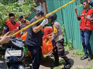 Video: Pengemudi Ojol Tewas Tertimpa Pohon di Palembang