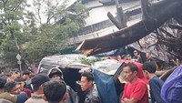 Tragedi Pohon Tumbang yang Telan Dua Nyawa di Bandung dan Cianjur