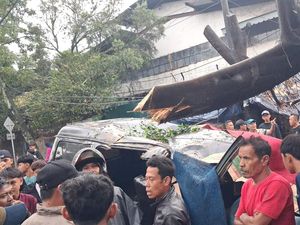 Tragedi Pohon Tumbang yang Telan Dua Nyawa di Bandung dan Cianjur