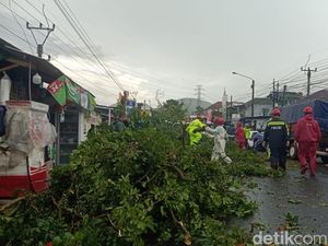 Pemotor Tewas Tertimpa Pohon Tumbang di Jalur Puncak Cianjur