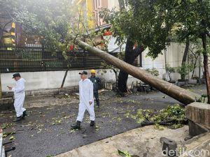 BMKG Ungkap Penyebab Cuaca Ekstrem Bikin Pohon Bertumbangan di Bandung