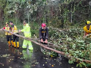 Pohon Tumbang Timpa Mobil di Setiabudi, Akses Bandung-Lembang Tertutup