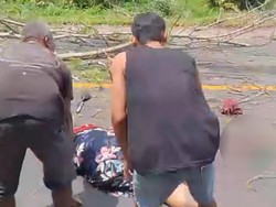 Perempuan Lombok Tewas Tertimpa Pohon Tumbang di Jalan Praya-Kopang