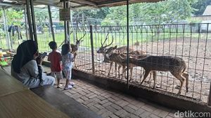 Potret Taman Rusa Bintik Putih, Wisata Gratis Favorit Warga Cijantung