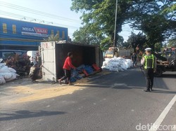 Truk Muat Pakan Ayam Terguling Usai Hantam Bus Bagong-Panther di Malang