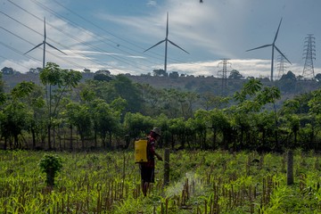 Berita dari Detik Finance: Dorong Energi Bersih, PLTB Nasional Ditingkatkan