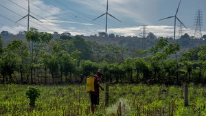 Dorong Energi Bersih, PLTB Nasional Ditingkatkan