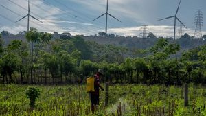 Dorong Energi Bersih, PLTB Nasional Ditingkatkan