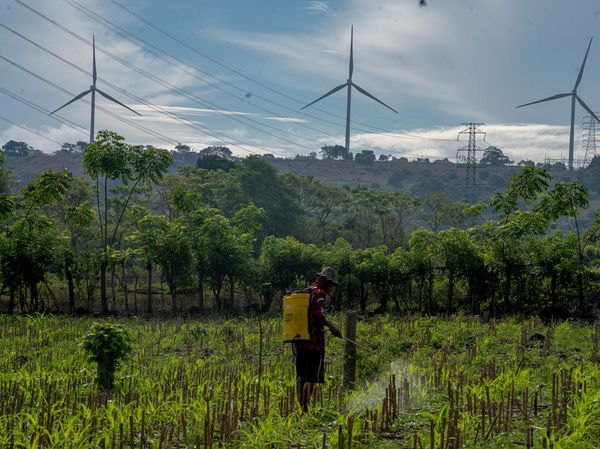 Dorong Energi Bersih, PLTB Nasional Ditingkatkan