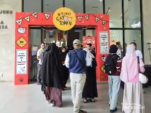 Video: POV Main ke Workshop Serba Kucing di Taman Ismail Marzuki