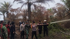 Polisi Tangkap Pelaku yang Bikin Karhutla Berhari-hari di Pelalawan