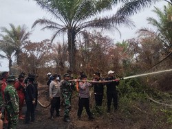 Tembus Jalur Harimau, Polisi-TNI Berhasil Padamkan Karhutla di Pelalawan