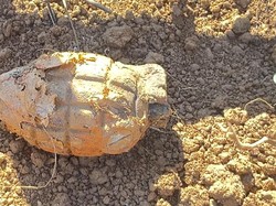 Geger Granat Nanas Ditemukan Warga di TPU Palopo Saat Kerja Bakti