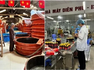 Krisis Saus Ikan! Kelangkaan Ikan Teri Ancam Warisan Kuliner Tradisional