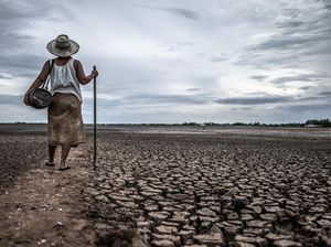 Benarkah El Nino Godzilla Bikin Musim Kemarau Lebih Ekstrem? Cek Mitigasinya!