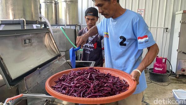 Mengintip Dapur Produksi Keripik Sayur dan Buah, Oleh-oleh Unggulan Kota Batu