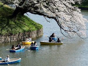 Mau Kerja di Jepang? Ada Syarat Baru Kemampuan Bahasa untuk Visa Insinyur dan Lainnya