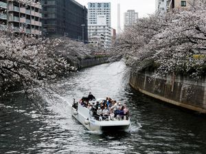 Sugoi! Jepang Jadi Negara dengan Sektor Pariwisata Terbaik di Dunia