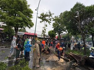Cuaca Ekstrem Landa DIY, 10 Pohon Tumbang-6 Rumah Rusak