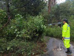 Longsor Ganggu Akses Pudak-Pulung Ponorogo, Pengendara Diminta Hati-hati