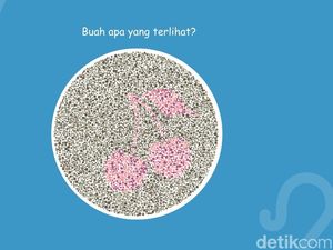 Bisa Lihat Buah Apa di Gambar Ini? Mayoritas yang Lulus Ujian SIM Pasti Bisa Jawab