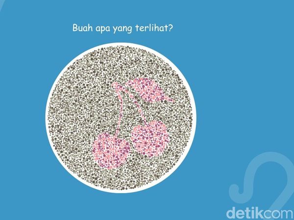 Bisa Lihat Buah Apa di Gambar Ini? Mayoritas yang Lulus Ujian SIM Pasti Bisa Jawab
