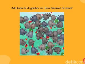 Ada Hewan Tersembunyi di Gambar Ini, Perlu Ketelitian dan Kesabaran Agar Ketemu!