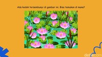 Bisa Temukan Objek Tersembunyi di Gambar Ini? Kalau Matanya Jeli Sih Pasti Easy