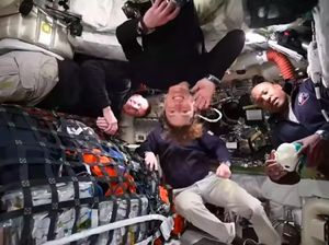 Unik! Astronaut Artemis II Tidur di Luar Angkasa Mirip Kelelawar
