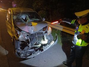 Truk Ganti Ban di Tol Sumo, Kernet Tewas Tertabrak Avanza