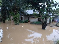 Hujan Lebat Landa Bengkulu, 3 Kabupaten dan Kota Terendam Banjir