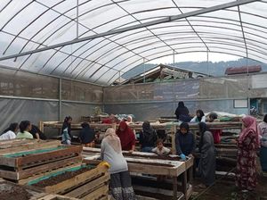 Kisah Nasabah PNM Mekaar Sulap Kotoran Sapi Jadi Sumber Ekonomi