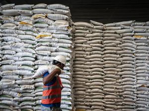 Cadangan Beras 4,5 Juta Ton, Jamin Pasokan di Tengah Gejolak Global