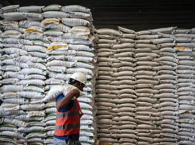 Cadangan Beras 4,5 Juta Ton, Jamin Pasokan di Tengah Gejolak Global