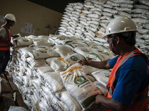 Video Mentan Pastikan Stok Pangan Aman di Tengah Perang Timteng dan El Nino