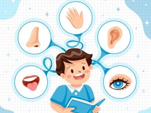 40 Nama Anggota Tubuh dalam Bahasa Jawa Ngoko, Krama Madya, dan Krama Inggil