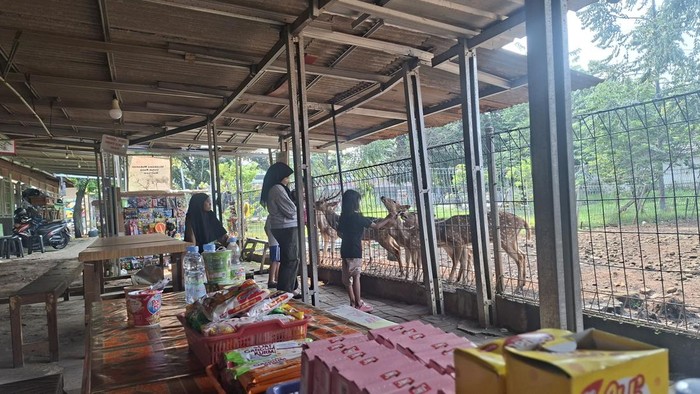 Potret Taman Rusa Bintik Putih, Wisata Gratis Favorit Warga Cijantung
