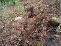 Retakan Sepanjang 30 Meter Ditemukan di Lereng Gunung Wilis Nganjuk