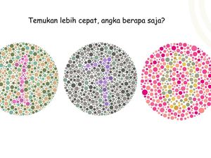 Kalau Mata Tak Buta Warna, Harusnya Mudah Selesaikan Permainan Gambar Ini