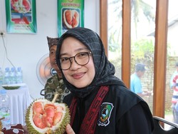 Produksi Durian Songgon Banyuwangi Capai 3.716 Ton per Tahun