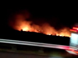 Karhutla di Lahan Dekat Tol Palembang-Indralaya, Petugas Upaya Padamkan