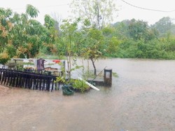 Banjir 1 Meter Teror Juata Permai, Warga Tunggu Solusi Pemkot Tarakan