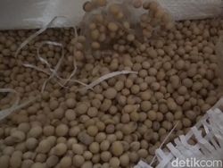 Harga Kedelai di Sumedang Naik Terimbas Perang Timur Tengah
