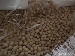 Harga Kedelai di Sumedang Naik Terimbas Perang Timur Tengah