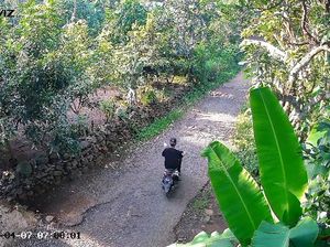 Guru SD di Pasuruan Dibegal Saat Berangkat Mengajar, Motor PCX Amblas