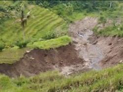 Tebing 30 Meter Longsor Timbun Sawah di Ngepanrejo Magelang