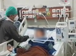 Dipatuk Ular Weling, Bocah Tasikmalaya Habiskan 50 Vial Antibisa