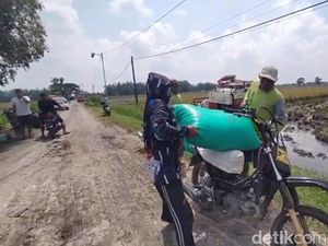 Cuan Tukang Ojek Gabah Saat Nganjuk Panen Raya Padi